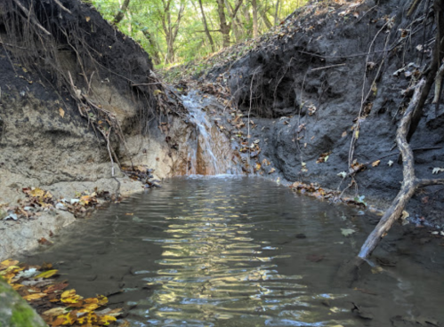 A small waterfall flows into a calm pool surrounded by rocky banks and autumn leaves in a wooded area.