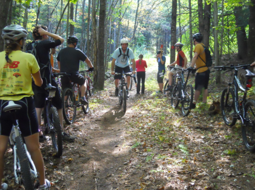 A group of mountain bikers on a forest trail, some preparing to ride while others stand beside their bikes.