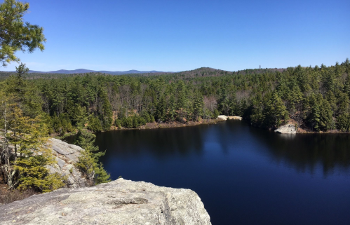A serene lake surrounded by lush green trees and distant mountains under a clear blue sky.