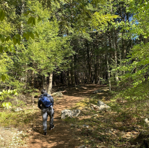 A person walks along a dirt path through a lush green forest, surrounded by trees and rocks.