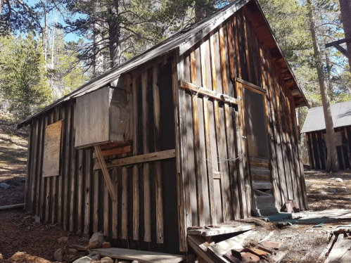 A weathered wooden cabin in a forest, with a slanted roof and boarded windows, surrounded by trees and debris.