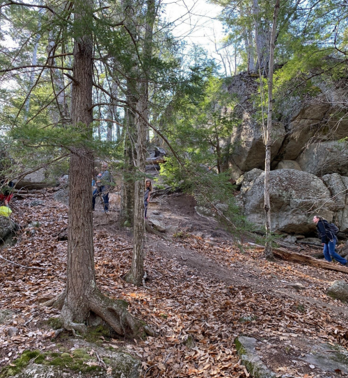 A group of hikers navigating a rocky trail surrounded by trees and fallen leaves in a forested area.