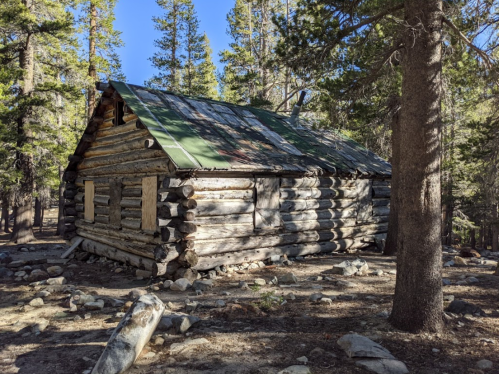 A rustic log cabin with a green metal roof, surrounded by tall trees and rocky ground in a forested area.