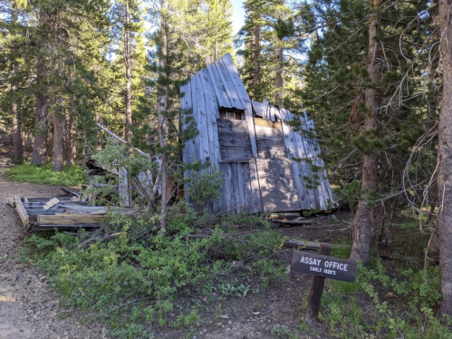 A dilapidated wooden building, labeled "Assay Office," surrounded by trees and greenery in a forested area.