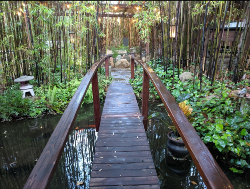 A wooden bridge over a tranquil pond, surrounded by lush greenery and bamboo, creating a serene garden atmosphere.