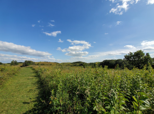 A scenic landscape featuring a grassy path, lush greenery, and a blue sky with fluffy clouds.