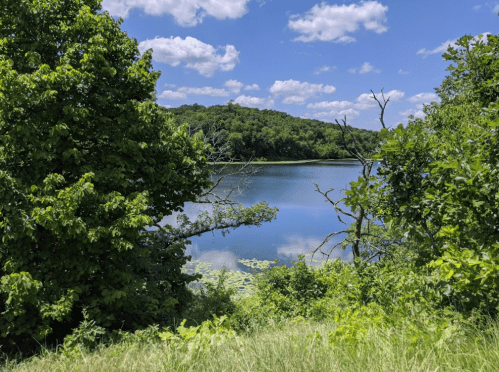 A serene lake surrounded by lush greenery and trees under a bright blue sky with fluffy white clouds.