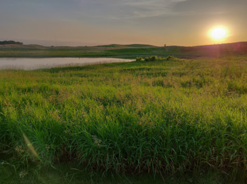 A serene landscape featuring lush green grass, a calm pond, and a sunset casting warm light over the scene.