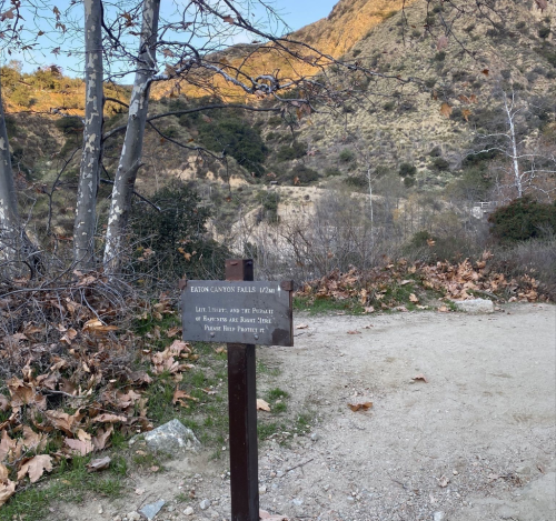 A sign for Eaton Canyon Falls stands on a dirt path surrounded by trees and mountains, with fallen leaves on the ground.
