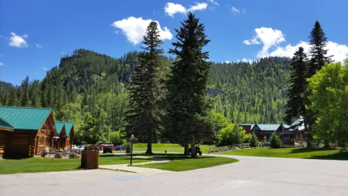 A scenic view of a forested area with log cabins, tall trees, and a clear blue sky with fluffy clouds.