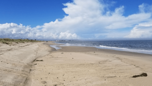 A serene beach scene with soft sand, gentle waves, and a blue sky dotted with clouds.