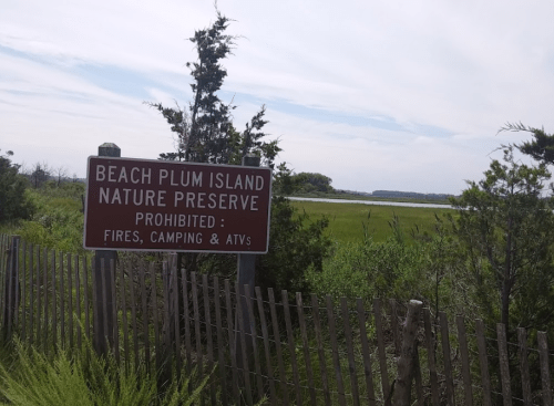 Sign for Beach Plum Island Nature Preserve, listing prohibited activities: fires, camping, and ATVs, with a natural landscape in the background.