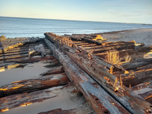Weathered wooden beams on a sandy beach, with calm ocean waves in the background under a clear sky.