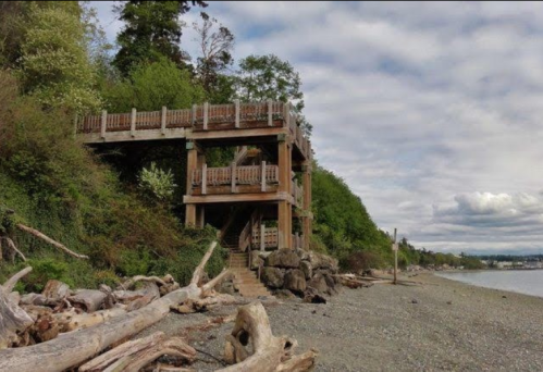 Wooden structure on a beach surrounded by trees and driftwood, with a cloudy sky in the background.