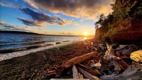 A serene beach at sunset, with waves lapping at the shore and driftwood scattered along the sandy coastline.