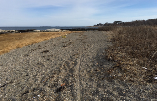 A sandy beach with sparse vegetation, leading to the water under a clear sky. Rocks are visible in the distance.