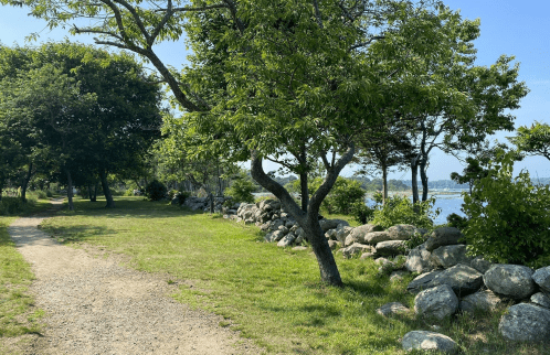 A scenic path lined with trees and rocks, leading to a waterfront under a clear blue sky.