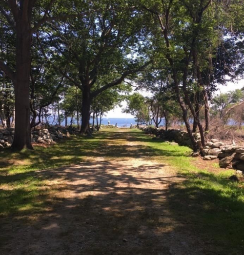 A serene pathway lined with trees leads to a view of the water, framed by stone walls and dappled sunlight.
