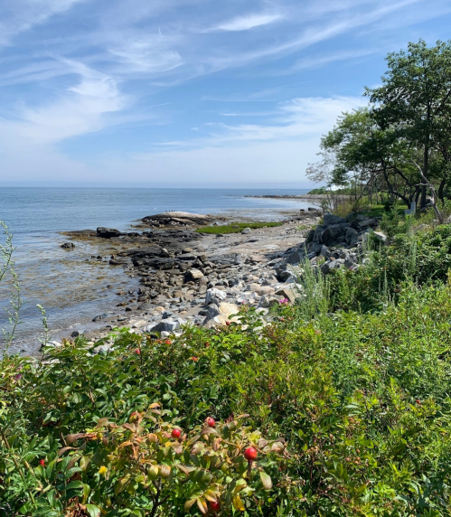 A serene coastal view with rocky shorelines, gentle waves, and lush greenery under a blue sky with scattered clouds.