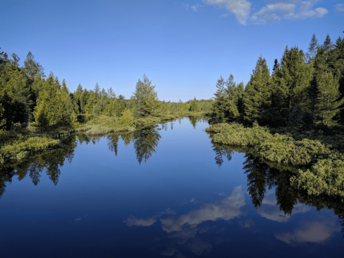 A serene landscape featuring a calm river reflecting trees and a blue sky with scattered clouds.