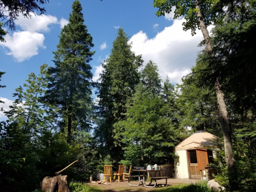 A serene outdoor scene with tall trees, a small cabin, and picnic furniture under a blue sky with fluffy clouds.
