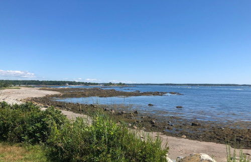 A serene coastal view with clear blue skies, rocky shoreline, and gentle waves lapping at the beach.