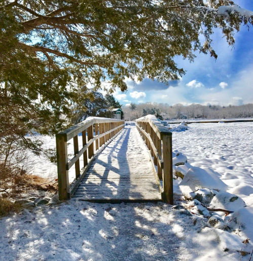 A snowy wooden bridge leads over a frozen landscape, surrounded by trees and a bright blue sky.