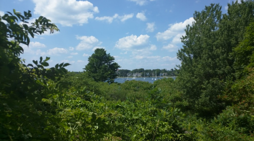 A scenic view of a lake surrounded by lush greenery and trees, with sailboats in the distance under a blue sky.