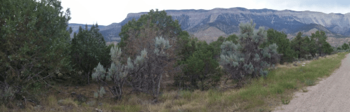 Panoramic view of a rugged mountain range with green shrubs and trees in the foreground along a dirt path.
