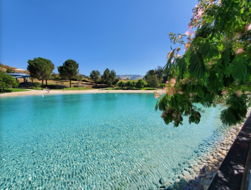 A serene lake with clear turquoise water, surrounded by trees and a bright blue sky. Flowers frame the scene.