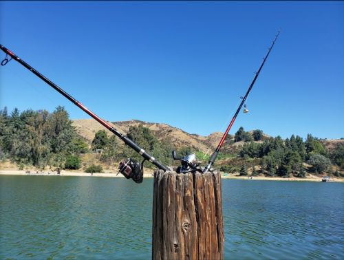 Two fishing rods resting on a wooden post by a calm lake, surrounded by green hills under a clear blue sky.