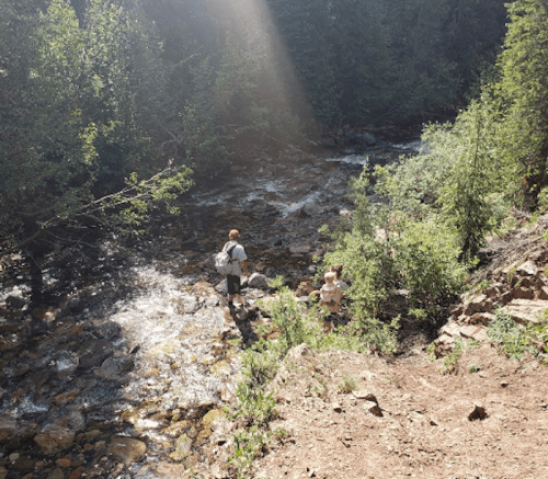 A person and a child stand by a sparkling stream surrounded by lush greenery and trees on a sunny day.
