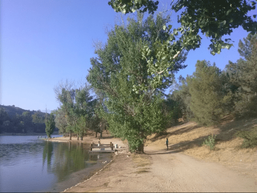 A serene lakeside scene with trees, a dirt path, and people fishing near the water under a clear blue sky.