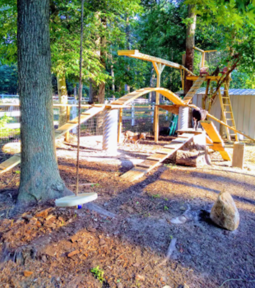A wooden play structure with swings and climbing areas, surrounded by trees and a fenced yard.