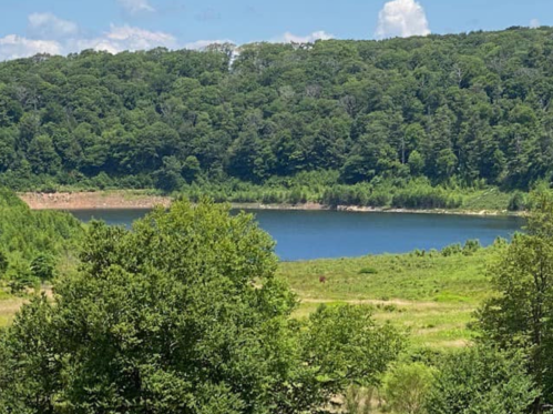 A serene lake surrounded by lush green trees and hills under a clear blue sky.