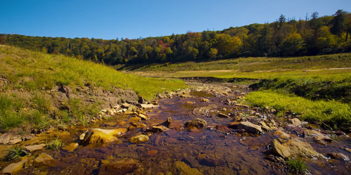 A serene landscape featuring a clear stream flowing through rocky terrain, surrounded by lush green hills and trees.