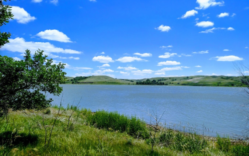 A serene lake surrounded by green grass and hills under a bright blue sky with fluffy white clouds.