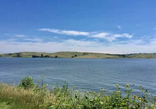 A serene lake surrounded by green hills and wildflowers under a clear blue sky.