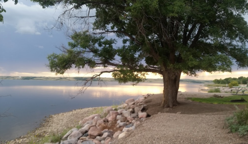 A serene lakeside scene featuring a large tree, rocky shore, and calm water reflecting the sky at sunset.