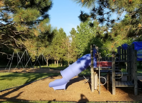 A playground with a blue slide, wooden structure, and swings surrounded by trees and green grass.