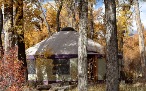 A cozy yurt nestled among colorful autumn trees, surrounded by vibrant foliage and a clear blue sky.