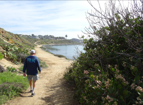 A person walks along a coastal path with greenery on one side and water on the other, under a clear sky.