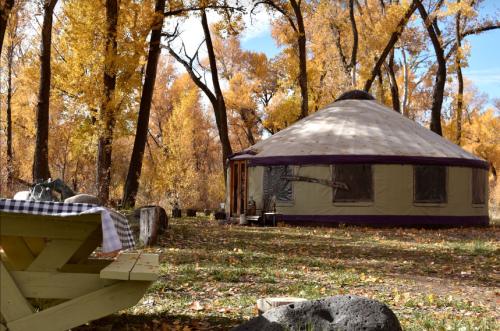 A cozy yurt surrounded by vibrant autumn trees and a picnic table in a serene outdoor setting.