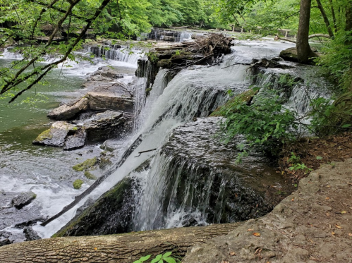 A serene waterfall cascading over rocky ledges, surrounded by lush green trees and a tranquil river.