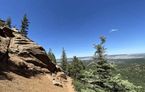 A rocky hillside with pine trees under a clear blue sky, overlooking a vast green valley.