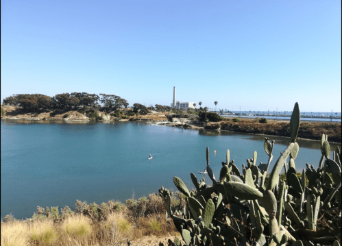A serene lake surrounded by greenery, with a distant industrial structure and clear blue sky.