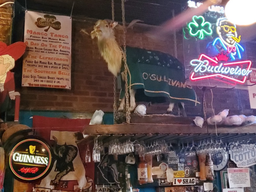 A mounted goat wearing a green blanket stands on a shelf in a bar, surrounded by neon signs and beer advertisements.