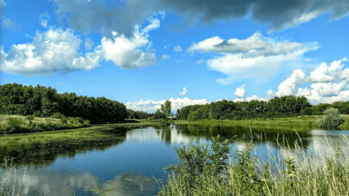 A serene landscape featuring a calm river surrounded by lush greenery and a blue sky with fluffy clouds.