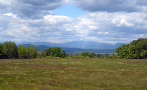 A scenic view of a grassy field with mountains and a lake in the background under a cloudy sky.