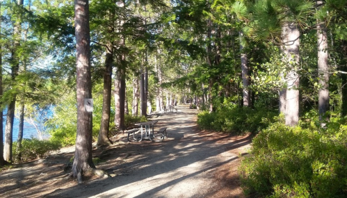 A serene forest path lined with tall trees, leading to a lake, with bicycles parked along the trail.